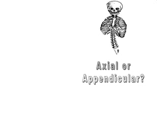 phalanges
metacarpals
Copyright © 2010 Ryan P. Murphy
 