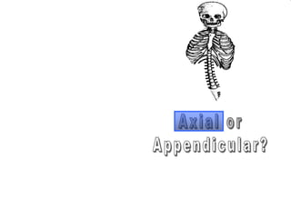 phalanges
metacarpals
Copyright © 2010 Ryan P. Murphy
 