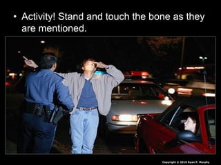 • Activity! Stand and touch the bone as they
are mentioned.
Copyright © 2010 Ryan P. Murphy
 
