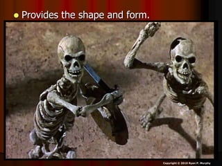  Provides the shape and form.
Copyright © 2010 Ryan P. Murphy
 