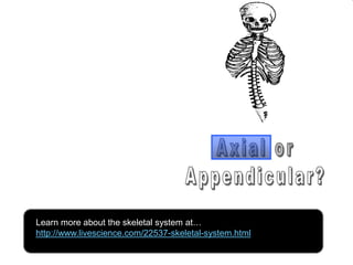 phalanges
metacarpals
Copyright © 2010 Ryan P. Murphy
Learn more about the skeletal system at…
http://www.livescience.com/22537-skeletal-system.html
 
