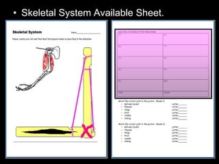 • Skeletal System Available Sheet.
 