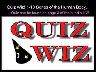 • Quiz Wiz! 1-10 Bones of the Human Body.
– Quiz can be found on page 3 of the bundle HW.
 