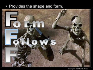 • Provides the shape and form.
Copyright © 2010 Ryan P. Murphy
 