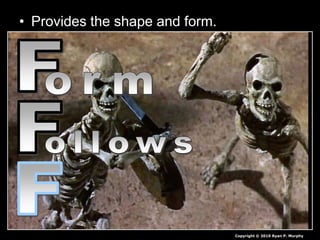 • Provides the shape and form.
Copyright © 2010 Ryan P. Murphy
 