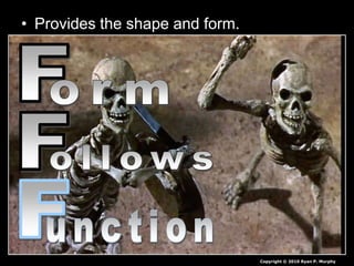 • Provides the shape and form.
Copyright © 2010 Ryan P. Murphy
 
