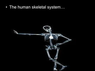 • The human skeletal system…
 