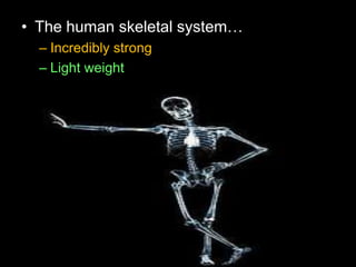 • The human skeletal system…
– Incredibly strong
– Light weight
 