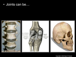 • Joints can be…
Copyright © 2010 Ryan P. Murphy
 
