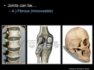 • Joints can be…
– A.) Fibrous (immoveable)
Copyright © 2010 Ryan P. Murphy
 
