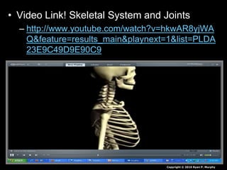 • Video Link! Skeletal System and Joints
– http://www.youtube.com/watch?v=hkwAR8yjWA
Q&feature=results_main&playnext=1&list=PLDA
23E9C49D9E90C9
Copyright © 2010 Ryan P. Murphy
 