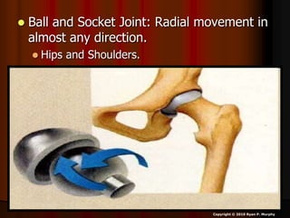  Ball and Socket Joint: Radial movement in
almost any direction.
 Hips and Shoulders.
Copyright © 2010 Ryan P. Murphy
 