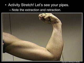 • Activity Stretch! Let’s see your pipes.
– Note the extraction and retraction.
Copyright © 2010 Ryan P. Murphy
 