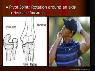  Pivot Joint: Rotation around an axis
 Neck and forearms.
Copyright © 2010 Ryan P. Murphy
 