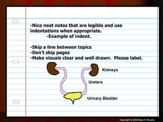 -Nice neat notes that are legible and use
indentations when appropriate.
-Example of indent.
-Skip a line between topics
-Don’t skip pages
-Make visuals clear and well drawn. Please label.
Kidneys
Ureters
Urinary Bladder
Copyright © 2010 Ryan P. Murphy
 