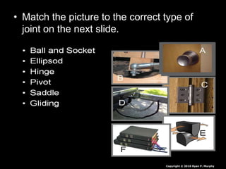 • Match the picture to the correct type of
joint on the next slide.
Copyright © 2010 Ryan P. Murphy
 