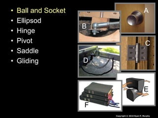 • Ball and Socket
• Ellipsod
• Hinge
• Pivot
• Saddle
• Gliding
A
C
D
E
F
A
B
B
Copyright © 2010 Ryan P. Murphy
 