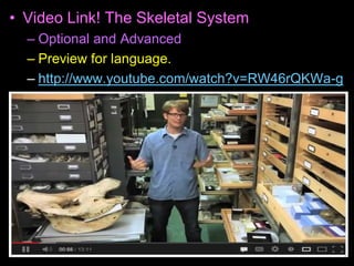 • Video Link! The Skeletal System
– Optional and Advanced
– Preview for language.
– http://www.youtube.com/watch?v=RW46rQKWa-g
 