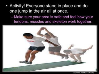 • Activity! Everyone stand in place and do
one jump in the air all at once.
– Make sure your area is safe and feel how your
tendons, muscles and skeleton work together.
Copyright © 2010 Ryan P. Murphy
 