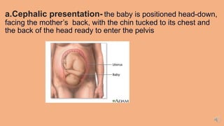 a.Cephalic presentation- the baby is positioned head-down,
facing the mother’s back, with the chin tucked to its chest and
the back of the head ready to enter the pelvis
 