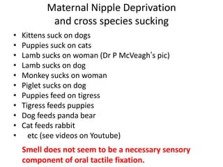 Maternal Nipple Deprivation
           and cross species sucking
•   Kittens suck on dogs
•   Puppies suck on cats
•   Lamb sucks on woman (Dr P McVeagh’s pic)
•   Lamb sucks on dog
•   Monkey sucks on woman
•   Piglet sucks on dog
•   Puppies feed on tigress
•   Tigress feeds puppies
•   Dog feeds panda bear
•   Cat feeds rabbit
•     etc (see videos on Youtube)
    Smell does not seem to be a necessary sensory
    component of oral tactile fixation.
 