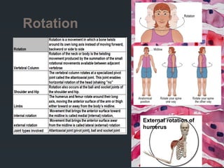 Comprehensive Flash Cards on Human Body Movements and Rotations | PPTX