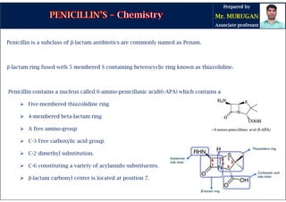 Penicillin is a subclass of β-lactam antibiotics are commonly named as Penam.
β-lactam ring fused with 5 membered S containing heterocyclic ring known as thiazolidine.
Penicillin contains a nucleus called 6-amino-penicillanic acid(6-APA) which contains a
 Five-membered thiazolidine ring
 4-membered beta-lactam ring
 A free amino-group
 C-3 Free carboxylic acid group.
 C-2 dimethyl substitution.
 C-6 constituting a variety of acylamido substituents.
 β-lactam carbonyl center is located at position 7.
 