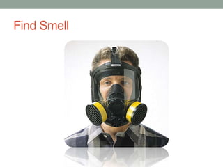 Find Smell