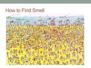 How to Find Smell
