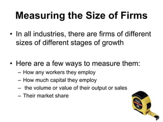 Part 3 Business Growth and Measurement of Size.pdf