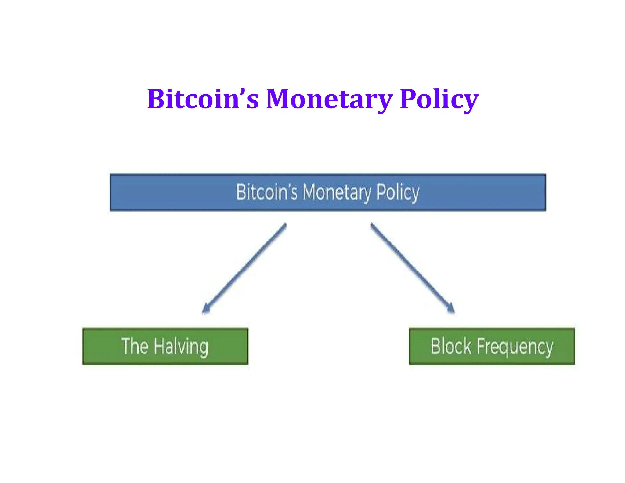 Bitcoin’s Monetary Policy
 