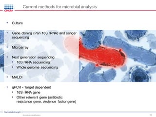 Sample to Insight
Current methods for microbial analysis
• Culture
• Gene cloning (Pan 16S rRNA) and sanger
sequencing
• Microarray
• Next generation sequencing
• 16S rRNA sequencing
• Whole genome sequencing
• MALDI
• qPCR - Target dependent
• 16S rRNA gene
• Other relevant gene (antibiotic
resistance gene, virulence factor gene)
Microbial Identification 10
 