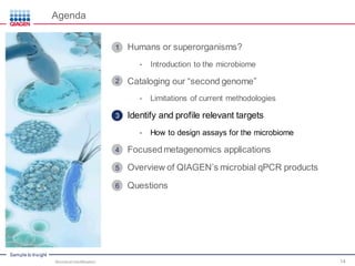 Sample to Insight
Agenda
Humans or superorganisms?
• Introduction to the microbiome
Cataloging our “second genome”
• Limitations of current methodologies
Identify and profile relevant targets
• How to design assays for the microbiome
Focused metagenomics applications
Overview of QIAGEN’s microbial qPCR products
Questions
Microbial Identification 14
1
2
3
4
5
6
 