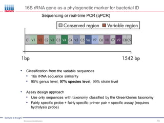 Sample to Insight
16S rRNA gene as a phylogenetic marker for bacterial ID
Sequencing or real-time PCR (qPCR)
• Classification from the variable sequences
• 16s rRNA sequence similarity
• 95% genus level, 97% species level, 99% strain level
• Assay design approach
• Use only sequences with taxonomy classified by the GreenGenes taxonomy
• Fairly specific probe + fairly specific primer pair = specific assay (requires
hydrolysis probe)
Microbial Identification 15
 