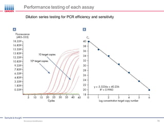 Sample to Insight
Performance testing of each assay
Dilution series testing for PCR efficiency and sensitivity
Microbial Identification 16
 