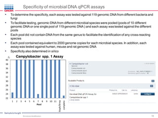 Sample to Insight
Specificity of microbial DNA qPCR assays
• To determine the specificity, each assay was tested against 119 genomic DNA from different bacteria and
fungi
• To facilitate testing, genomic DNA from different microbial species were pooled (pools of 10 different
genomic DNA or one single pool of 119 genomic DNA ) and each assay was tested against the different
pools
• Each pool did not contain DNA from the same genus to facilitate the identification of any cross-reacting
species
• Each pool contained equivalent to 2000 genome copies for each microbial species. In addition, each
assay was tested against human, mouse and rat genomic DNA
• Specificity also determined in silico
22
24
26
28
30
32
34
36
38
40
1 2 3 4 5 6 7 8 9 10 11
CT
Pool
Staph/Strep
complete
Campylobacter spp. 1 Assay
Microbial Identification 18
 