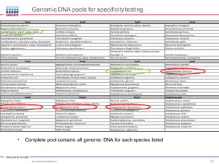 Sample to Insight
Genomic DNA pools for specificity testing
• Complete pool contains all genomic DNA for each species listed
Pool1 Pool2 Pool3 Pool4
Acinetobacter baumannii Aeromonas hydrophila Alcaligenes faecalis subsp. Faecalis Aspergillus fumigatus
Bacillus licheniformis Bartonella henselae Bordetella pertussis Brevundimonas diminuta
Campylobacter jejuni subsp. Jejuni Candida albicans Candida glabrata Candida parapsilosis
Citrobacter freundii Clostridium difficile Clostridium perfringens Clostridium thermocellum
Corynebacterium glutamicum Enterobacter aerogenes Enterococcus faecalis Enterococcus faecium
Fusobacterium nucleatum subsp. Nucleatum Geobacillus stearothermophilus Haemophilus influenzae Helicobacter pylori
Legionella pneumophila subsp. Pneumophila Listeria monocytogenes Mycobacterium tuberculosis Neisseria meningitidis
Pantoea agglomerans Pediococcus pentosaceus Plesiomonas shigelloides Proteus mirabilis
Rahnella aquatilis Ralstonia solanacearum
Salmonella enterica subsp. enterica serovar
Paratyphi A Serratia marcescens
Vibrio cholerae Yersinia enterocolitica subsp. Enterocolitica Yersinia pestis Stenotrophomonas maltophilia
Pool5 Pool6 Pool7 Pool8
Bacillus cereus Aggregatibacter actinomycetemcomitans Akkermansia muciniphila Anaerococcus prevotii
Burkholderia cenocepacia Bacteroides thetaiotaomicron Bacteroides ureolyticus Bacteroides vulgatus
Candida tropicalis Burkholderia cepacia Campylobacter coli Campylobacter concisus
Corynebacterium diphtheriae Capnocytophaga gingivalis Cryptobacterium curtum Cryptococcus gattii
Escherichia coli Enterobacter cloacae subsp. Cloacae Gardnerella vaginalis Lactobacillus jensenii
Klebsiella pneumoniae Lactobacillus casei Lactobacillus gasseri Micrococcus luteus
Ochrobactrum anthropi Methanobrevibacter smithii Mycoplasma pneumoniae Neisseria flava
Pseudomonas aeruginosa Mycoplasma orale Porphyromonas gingivalis Prevotella intermedia
Shigella flexneri Porphyromonas endodontalis Trichomonas vaginalis Ureaplasma parvum
Yersinia pseudotuberculosis Treponema denticola Staphylococcus haemolyticus Streptococcus mitis
Pool9 Pool10 Pool11 Staph/strep pool
Aspergillus flavus Atopobium rimae Bacillus subtilis Staphylococcus aureus
Bifidobacterium breve Bifidobacterium longum subsp. Infantis Bordetella parapertussis Staphylococcus epidermidis
Campylobacter gracilis Campylobacter rectus Campylobacter upsaliensis Streptococcus agalactiae
Cryptococcus neoformans Desulfovibrio desulfuricans Lactobacillus acidophilus Streptococcus gordonii
Haemophilus ducreyi Klebsiella oxytoca Leptotrichia buccalis Streptococcus mitis
Lactobacillus plantarum Lactobacillus reuteri Mycoplasma hominis Streptococcus mutans
Mycobacterium smegmatis Mycoplasma genitalium Peptostreptococcus anaerobius Streptococcus pneumoniae
Neisseria gonorrhoeae Parabacteroides distasonis Tannerella forsythia Streptococcus pyogenes
Prevotella melaninogenica Proteus vulgaris Vibrio parahaemolyticus Streptococcus sanguinis
Veillonella parvula Vibrio harvey Streptococcus agalactiae
Microbial Identification 19
 