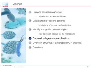 Sample to Insight
Agenda
Humans or superorganisms?
• Introduction to the microbiome
Cataloging our “second genome”
• Limitations of current methodologies
Identify and profile relevant targets
• How to design assays for the microbiome
Focused metagenomics applications
Overview of QIAGEN’s microbial qPCR products
Questions
Microbial Identification 21
1
2
3
4
5
6
 