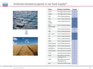 Sample to Insight
Antibiotic resistance genes in our food supply?
Microbial Identification 26
 