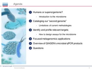 Sample to Insight
Agenda
Humans or superorganisms?
• Introduction to the microbiome
Cataloging our “second genome”
• Limitations of current methodologies
Identify and profile relevant targets
• How to design assays for the microbiome
Focused metagenomics applications
Overview of QIAGEN’s microbial qPCR products
Questions
Microbial Identification 3
1
2
3
4
5
6
 