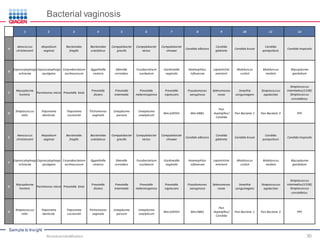 Sample to Insight
Bacterial vaginosis
1 2 3 4 5 6 7 8 9 10 11 12
A
Aerococcus
christensenii
Atopobium
vaginae
Bacteroides
fragilis
Bacteroides
ureolyticus
Campylobacter
gracilis
Campylobacter
rectus
Campylobacter
showae
Candida albicans
Candida
glabrata
Candida krusei
Candida
parapsilosis
Candida tropicalis
B
Capnocytophaga
ochracea
Capnocytophaga
sputigena
Corynebacterium
aurimucosum
Eggerthella
sinensis
Eikenella
corrodens
Fusobacterium
nucleatum
Gardnerella
vaginalis
Haemophilus
influenzae
Leptotrichia
amnionii
Mobiluncus
curtisii
Mobiluncus
mulieris
Mycoplasma
genitalium
C
Mycoplasma
hominis
Parvimonas micra Prevotella bivia
Prevotella
disiens
Prevotella
intermedia
Prevotella
melaninogenica
Prevotella
nigrescens
Pseudomonas
aeruginosa
Selenomonas
noxia
Sneathia
sanguinegens
Streptococcus
agalactiae
Streptococcus
intermedius(1338)
Streptococcus
constellatus
D
Streptococcus
mitis
Treponema
denticola
Treponema
socranskii
Trichomonas
vaginalis
Ureaplasma
parvum
Ureaplasma
urealyticum
Mm.GAPDH Mm.HBB1
Pan
Aspergillus/
Candida
Pan Bacteria 1 Pan Bacteria 3 PPC
E
Aerococcus
christensenii
Atopobium
vaginae
Bacteroides
fragilis
Bacteroides
ureolyticus
Campylobacter
gracilis
Campylobacter
rectus
Campylobacter
showae
Candida albicans
Candida
glabrata
Candida krusei
Candida
parapsilosis
Candida tropicalis
F
Capnocytophaga
ochracea
Capnocytophaga
sputigena
Corynebacterium
aurimucosum
Eggerthella
sinensis
Eikenella
corrodens
Fusobacterium
nucleatum
Gardnerella
vaginalis
Haemophilus
influenzae
Leptotrichia
amnionii
Mobiluncus
curtisii
Mobiluncus
mulieris
Mycoplasma
genitalium
G
Mycoplasma
hominis
Parvimonas micra Prevotella bivia
Prevotella
disiens
Prevotella
intermedia
Prevotella
melaninogenica
Prevotella
nigrescens
Pseudomonas
aeruginosa
Selenomonas
noxia
Sneathia
sanguinegens
Streptococcus
agalactiae
Streptococcus
intermedius(1338)
Streptococcus
constellatus
H
Streptococcus
mitis
Treponema
denticola
Treponema
socranskii
Trichomonas
vaginalis
Ureaplasma
parvum
Ureaplasma
urealyticum
Mm.GAPDH Mm.HBB1
Pan
Aspergillus/
Candida
Pan Bacteria 1 Pan Bacteria 3 PPC
Microbial Identification 30
 