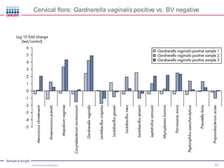 Sample to Insight
Cervical flora: Gardnerella vaginalis positive vs. BV negative
Microbial Identification 33
 