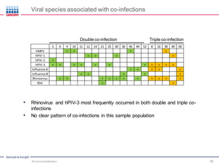 Sample to Insight
Viral species associated with co-infections
Double co-infection Triple co-infection
5 6 9 10 11 12 14 21 25 30 36 46 49 52 8 16 38 40 60
hMPV + + + +
hPIV-1 + + + +
hPIV-2 +
hPIV-3 + + + + + + + + + + +
Influenza A + + + + +
Influenza B + + + + +
Rhinovirus + + + + + + + + + + +
RSV + +
• Rhinovirus and hPIV-3 most frequently occurred in both double and triple co-
infections
• No clear pattern of co-infections in this sample population
Microbial Identification 38
 