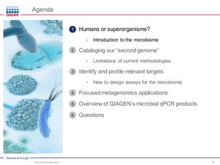 Sample to Insight
Agenda
Humans or superorganisms?
• Introduction to the microbiome
Cataloging our “second genome”
• Limitations of current methodologies
Identify and profile relevant targets
• How to design assays for the microbiome
Focused metagenomics applications
Overview of QIAGEN’s microbial qPCR products
Questions
Microbial Identification 4
1
2
3
4
5
6
 
