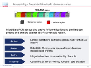 Sample to Insight
Microbiology: From identification to characterization
16S rRNA gene
- Conserved region - Variable region
Microbial qPCR assays and arrays for identification and profiling use
probes and primers against 16srRNA variable region.
Largest microbiome portfolio; experimentally verified 580
assays.
Select 8 to 384 microbial species for simultaneous
detection and profiling.
Integrated controls ensure reliability of results.
95 Can detect as low as 10 copy numbers; data available.
Content
Custom
Control
Sensitivity
Microbial Identification 40
 