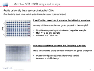Sample to Insight
Microbial DNA qPCR arrays and assays
Profile or identify the presence of microbial DNA
(from bacteria, fungi, virus, protist, antibiotic resistance and virulance factors)
Identification experiment answers the following question:
Are any of these microbes or genes present in the sample?
• Must be compared against a known negative sample
• Run NTC as one sample
• Answers are Yes or No
Profiling experiment answers the following question:
Have the amounts of any of these microbes or genes changed?
• Must be compared against a reference sample
• Answers are fold change
Microbial Identification 41
 