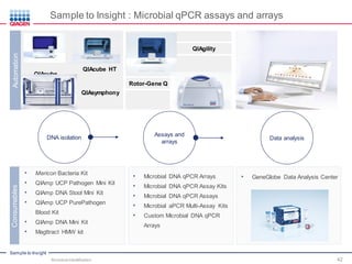 Sample to Insight
Sample to Insight : Microbial qPCR assays and arrays
• Mericon Bacteria Kit
• QIAmp UCP Pathogen Mini Kit
• QIAmp DNA Stool Mini Kit
• QIAmp UCP PurePathogen
Blood Kit
• QIAmp DNA Mini Kit
• Magttract HMW kit
• Microbial DNA qPCR Arrays
• Microbial DNA qPCR Assay Kits
• Microbial DNA qPCR Assays
• Microbial aPCR Multi-Assay Kits
• Custom Microbial DNA qPCR
Arrays
• GeneGlobe Data Analysis Center
QIAcube
QIAcube HT
QIAsymphony
QIAgility
Rotor-Gene Q
AutomationConsumables
Microbial Identification 42
Data analysis
Assays and
arrays
DNA isolation
 