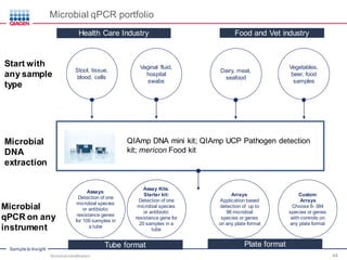 Sample to Insight
Microbial qPCR portfolio
Start with
any sample
type
Health Care Industry Food and Vet industry
QIAmp DNA mini kit; QIAmp UCP Pathogen detection
kit; mericon Food kit
Microbial
DNA
extraction
Microbial
qPCR on any
instrument
Tube format Plate format
Microbial Identification 44
Stool, tissue,
blood, cells
Vaginal fluid,
hospital
swabs
Dairy, meat,
seafood
Vegetables,
beer, food
samples
Assay Kits:
Starter kit:
Detection of one
microbial species
or antibiotic
resistance gene for
20 samples in a
tube
Arrays:
Application based
detection of up to
96 microbial
species or genes
on any plate format
Assays:
Detection of one
microbial species
or antibiotic
resistance genes
for 100 samples in
a tube
Custom
Arrays
Choose 8- 384
species or genes
with controls on
any plate format
 
