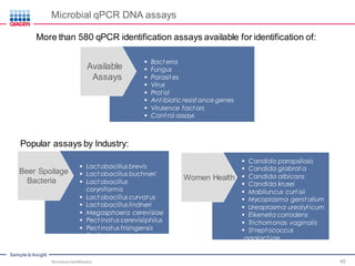 Sample to Insight
Microbial qPCR DNA assays
More than 580 qPCR identification assays available for identification of:
 Bacteria
 Fungus
 Parasites
 Virus
 Protist
 Antibiotic resistance genes
 Virulence factors
 Control assays
Available
Assays
Popular assays by Industry:
 Lactobacillus brevis
 Lactobacillus buchneri
 Lactobacillus coryniformis
 Lactobacillus curvatus
 Lactobacillus lindneri
 Megasphaera cerevisiae
 Pectinatus cerevisiiphilus
 Pectinatus frisingensis
 Pediocococcus damnosus
Beer Spoilage
Bacteria Women Health
 Candida parapsilosis
 Candida glabrata
 Candida albicans
 Candida krusei
 Mobiluncus curtisii
 Mycoplasma genitalium
 Ureaplasma urealyticum
 Eikenella corrodens
 Trichomonas vaginalis
 Streptococcus agalactiae
Microbial Identification 45
 