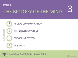 PART 3
1
2
NEURAL COMMUNICAITON
THE NERVOUS SYSTEM
3 ENDOCRINE SYSTEM
4 THE BRAIN
SECTIONS
THE BIOLOGY OF THE MIND
Ѱ
3
Psychology, Twelfth Edition (Myers, D. G.)
© T.G. Lane 2018
 